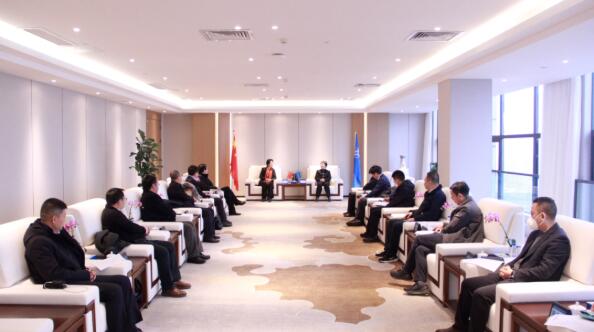0109 中咨集团党委书记、董事长崔玉萍.jpg