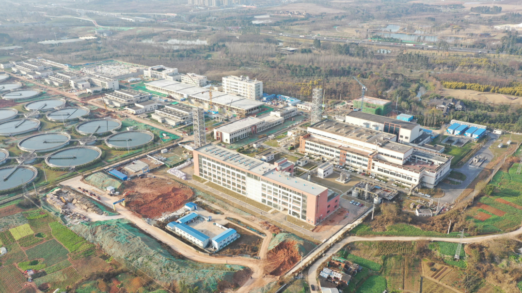 污水提质增效背景下四川省典型城市污泥泥质特性分析研究.png