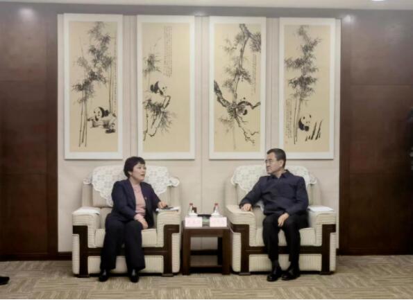 公司主要领导拜访四川省国资委.jpg